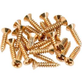 Pickguard/Control Plate Mounting Screws (24) (Gold) 0994924000